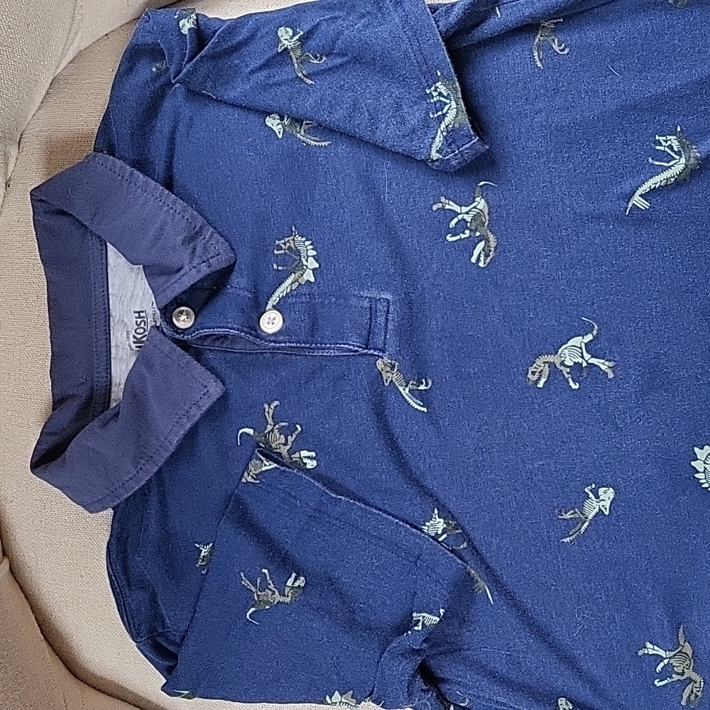 Dinosaur T-shirt with collar, Boys 14